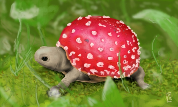 Turtle+Mushroom